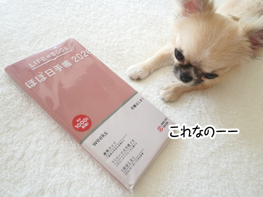 これなのーー