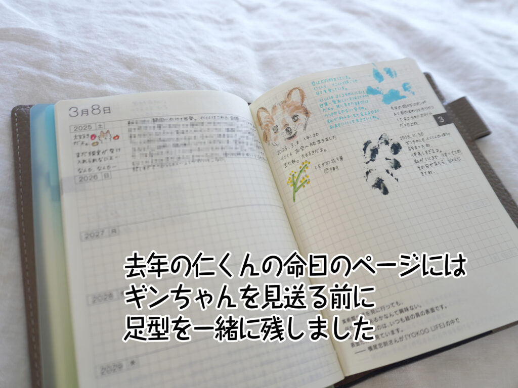 去年の仁くんの命日のページにはギンちゃんを見送る前に足型を一緒に残しました