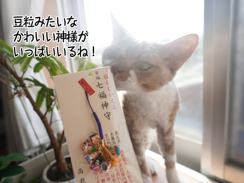 豆粒みたいなかわいい神様がいっぱいいるね！