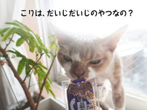 こりは、だいじだいじのやつなの？