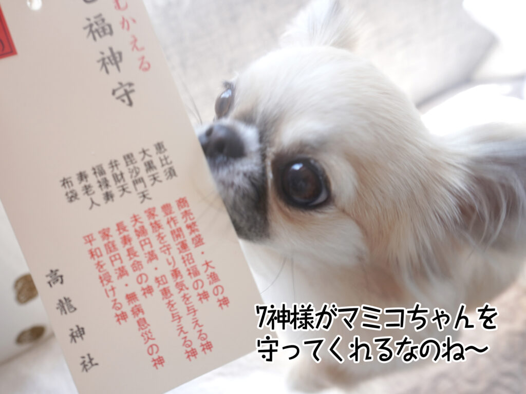 7神様がマミコちゃんを守ってくれるなのね～