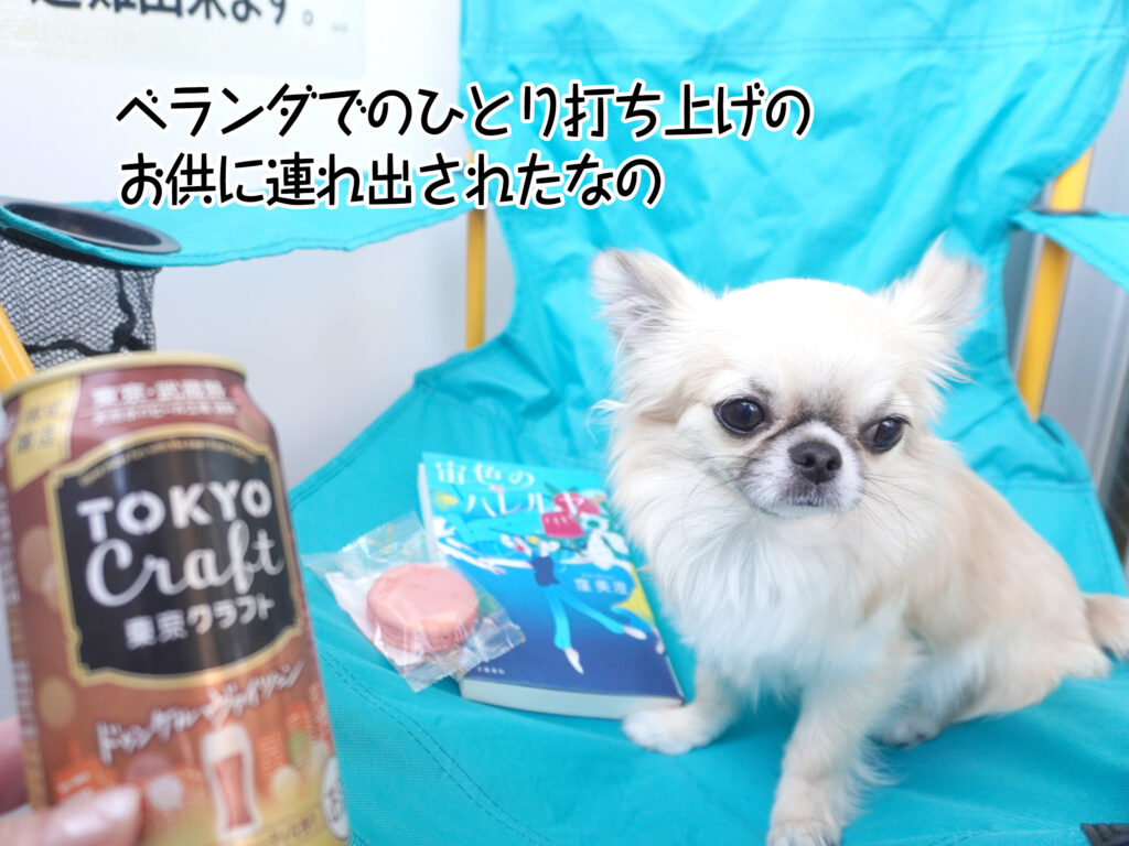 ベランダでのひとり打ち上げのお供に連れ出されたなの