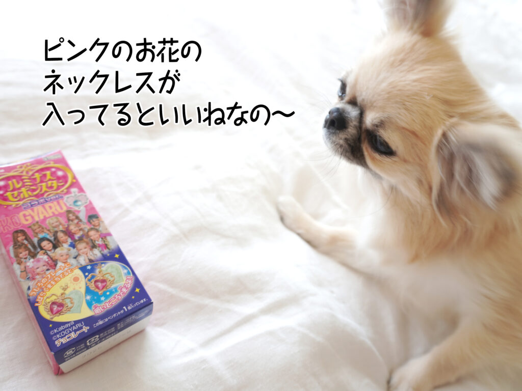 ピンクのお花のネックレスが入ってるといいねなの~