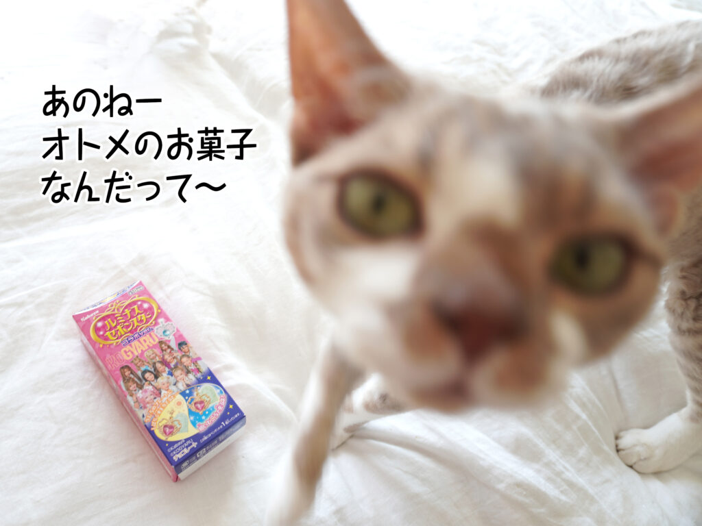 あのねー オトメのお菓子 なんだって~