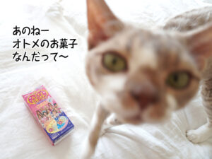 あのねー オトメのお菓子 なんだって～