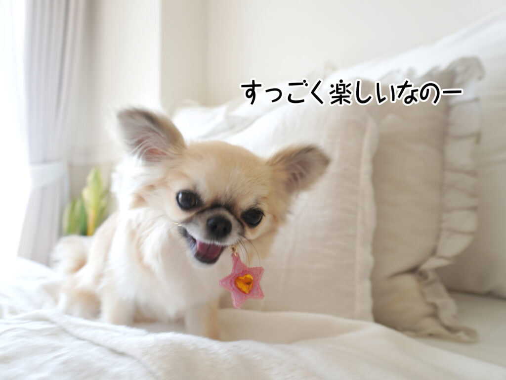 すっごく楽しいなのー