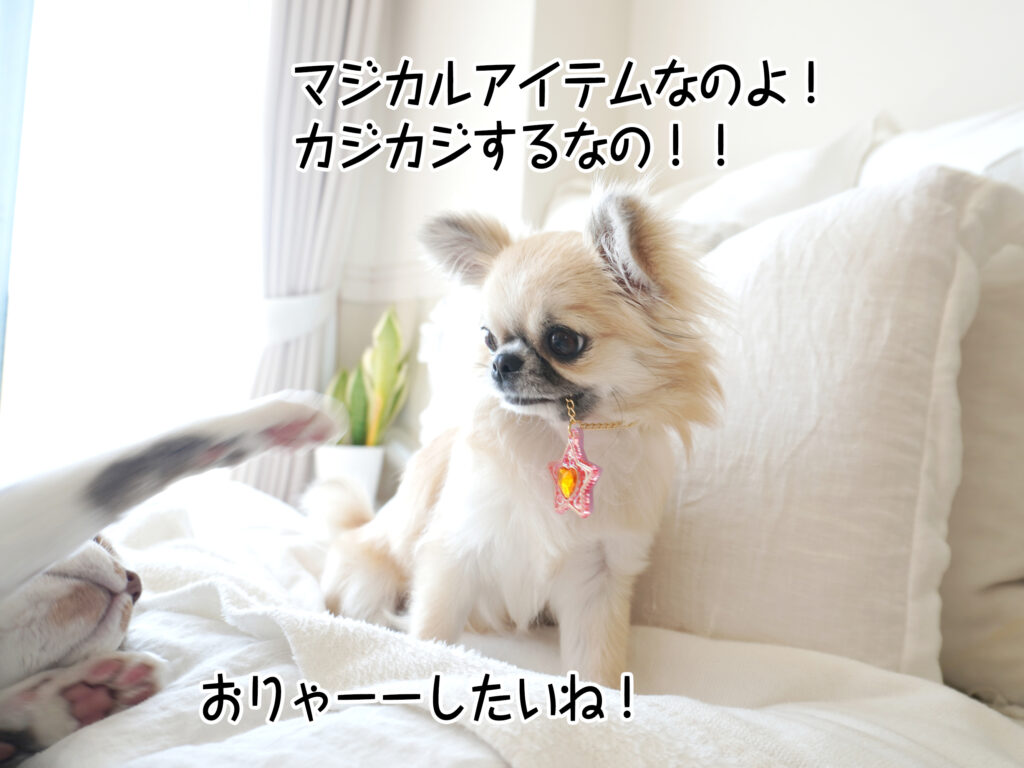 マジカルアイテムなのよ!カジカジするなの!!