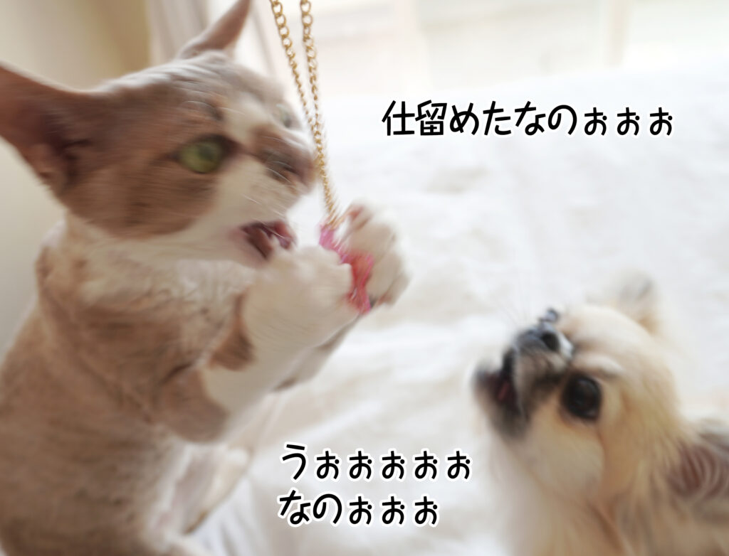 仕留めたなのぉぉぉ