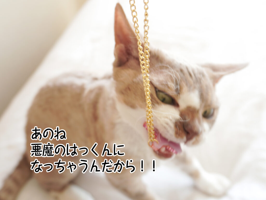 あのね悪魔のはっくんになっちゃうんだから!!