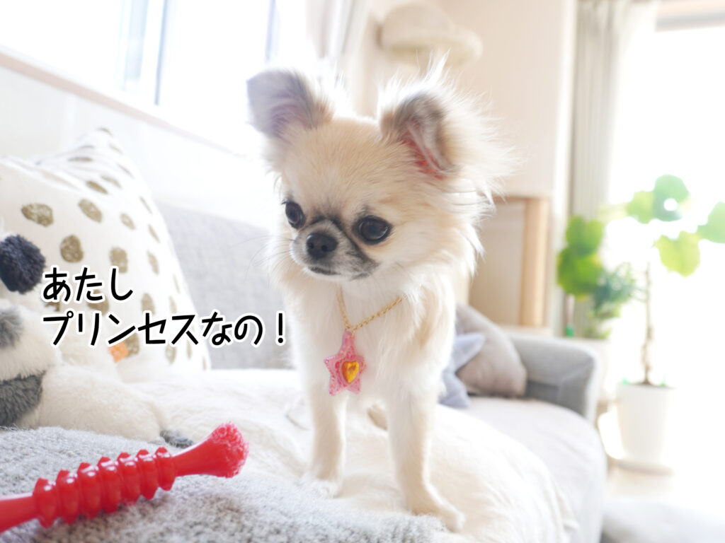 あたしプリンセスなの!