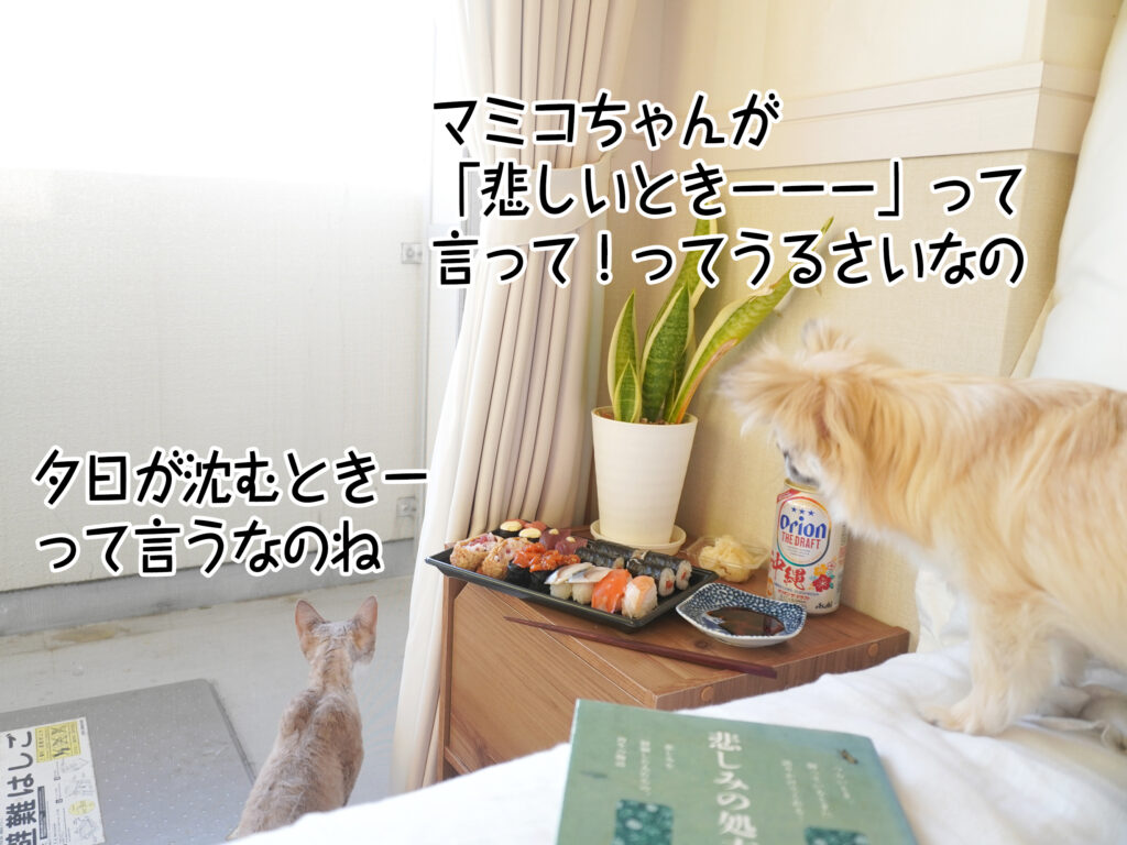マミコちゃんが 「悲しいときーーー」って 言って!ってうるさいなの