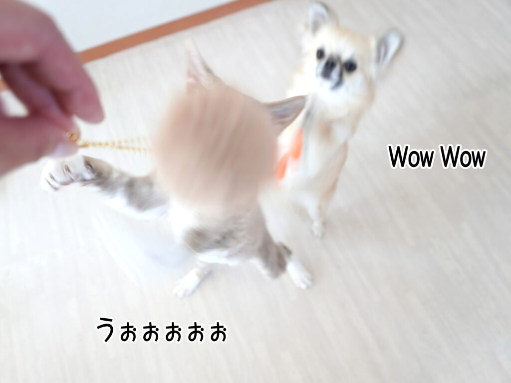 うぉぉぉぉぉ