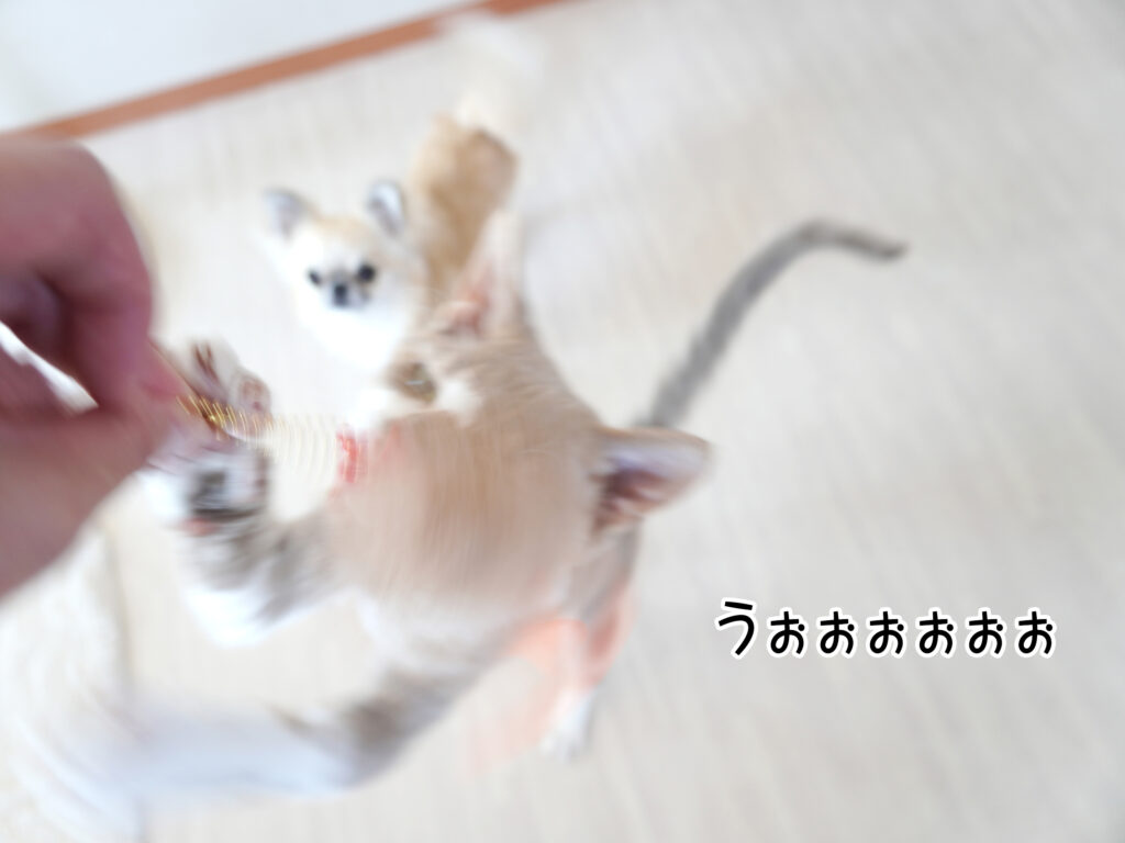 ごくり…