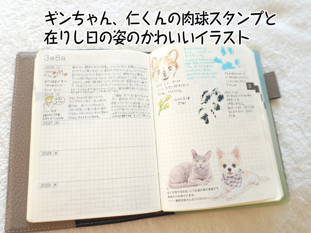 ギンちゃん、仁くんの肉球スタンプと在りし日の姿のかわいいイラスト