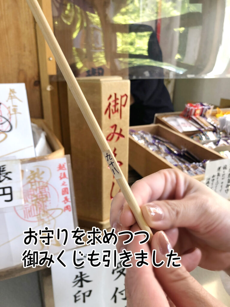 お守りを求めつつ御みくじも引きました