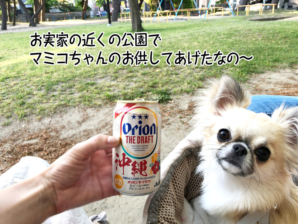 お実家の近くの公園でマミコちゃんのお供してあげたなの～