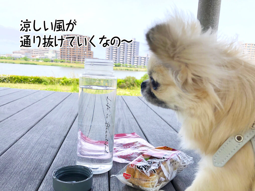 涼しい風が通り抜けていくなの～