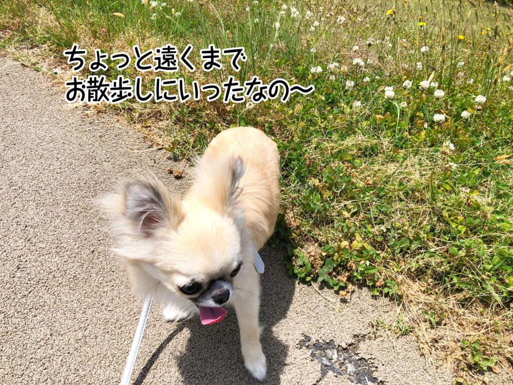 ちょっと遠くまで お散歩しにいったなの～