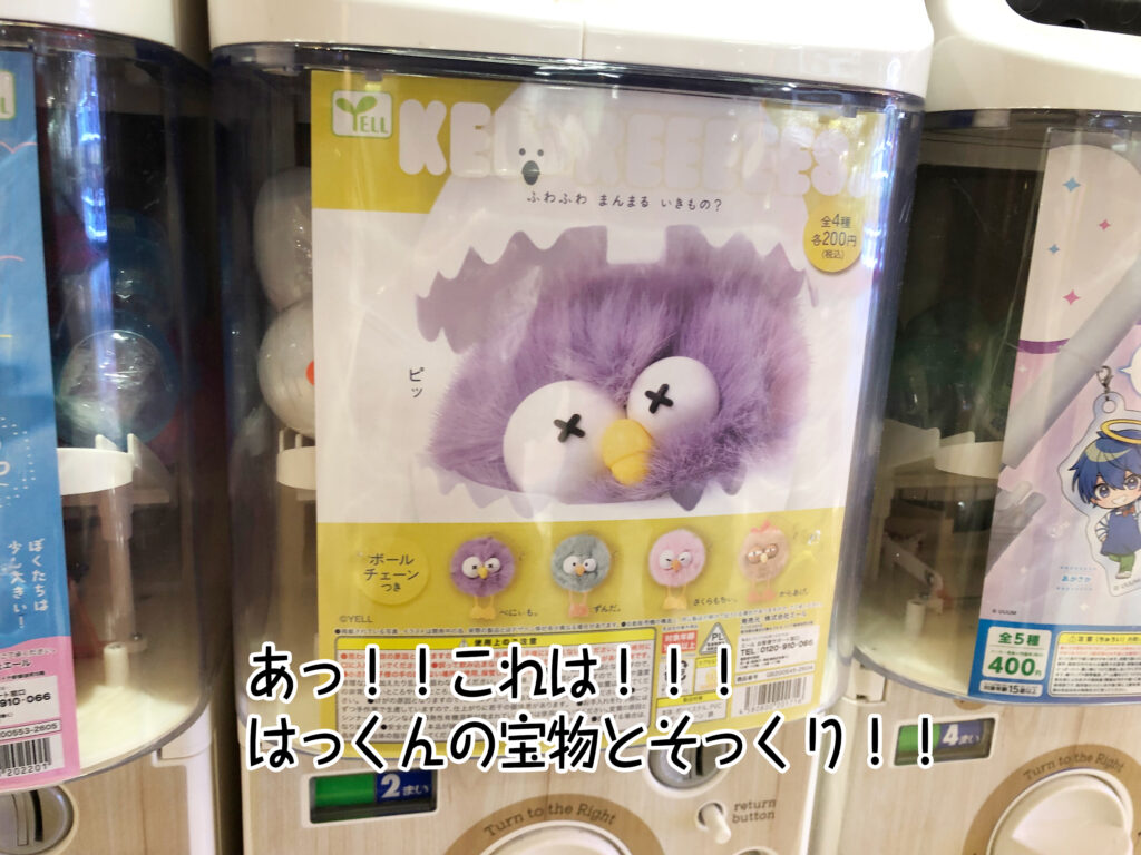 あっ！！これは！！！はっくんの宝物とそっくり！！