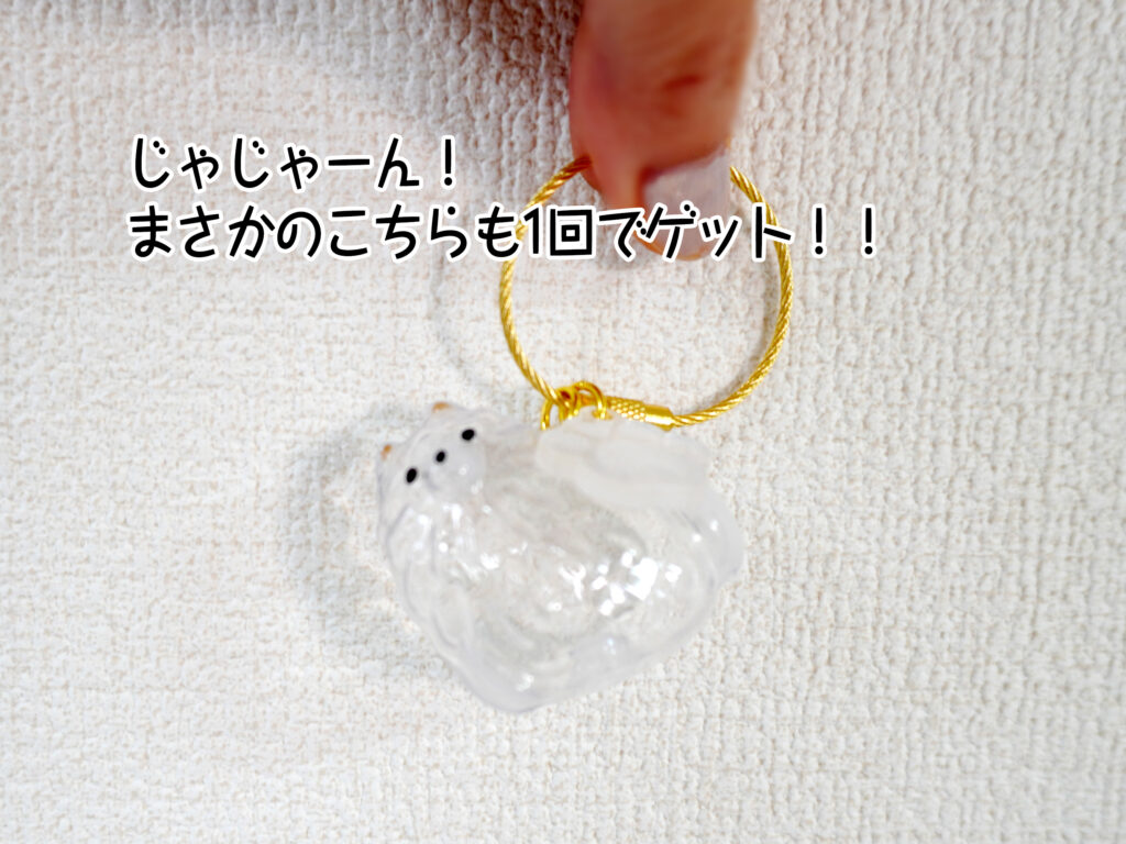 じゃじゃーん！まさかのこちらも1回でゲット！！