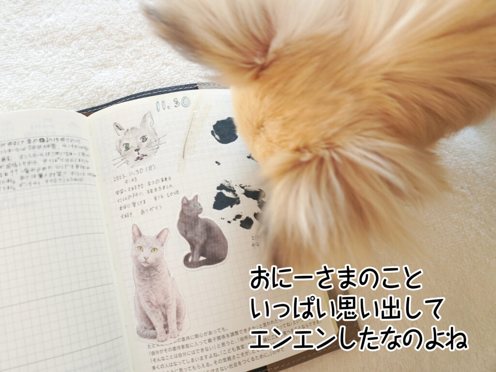 おにーさまのこといっぱい思い出してエンエンしたなのよね