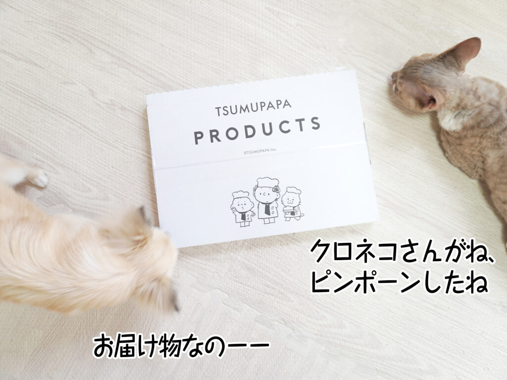 クロネコさんがね、ピンポーンしたね