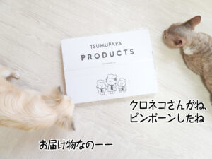 クロネコさんがね、ピンポーンしたね