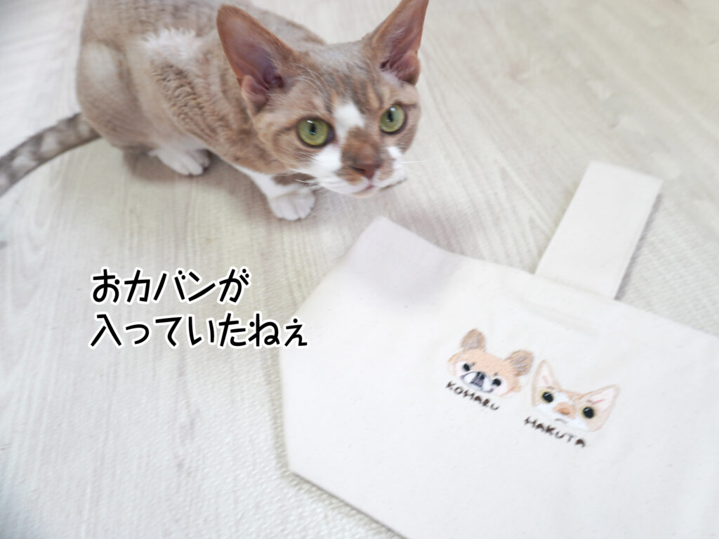 おカバンが入っていたねぇ