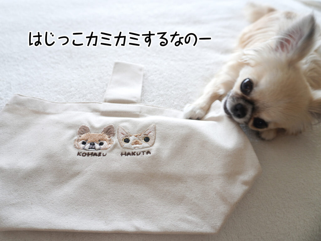 はじっこカミカミするなのー
