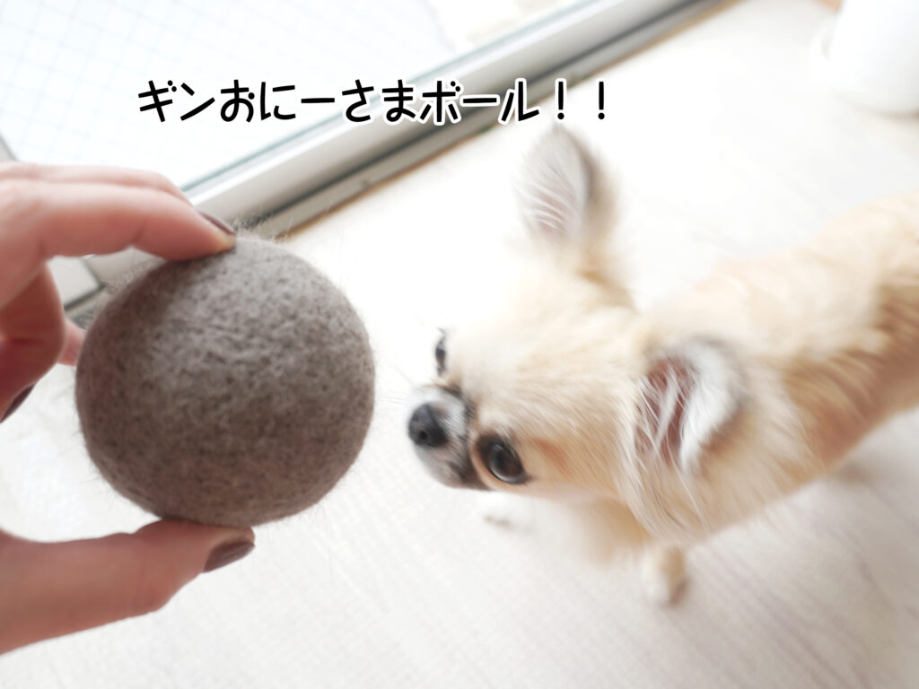 ギンおにーさまボールなの！！