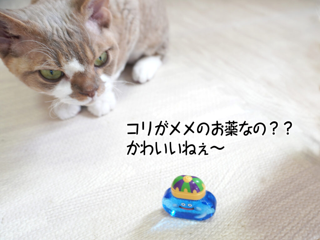 コリがメメのお薬なの？？かわいいねぇ～