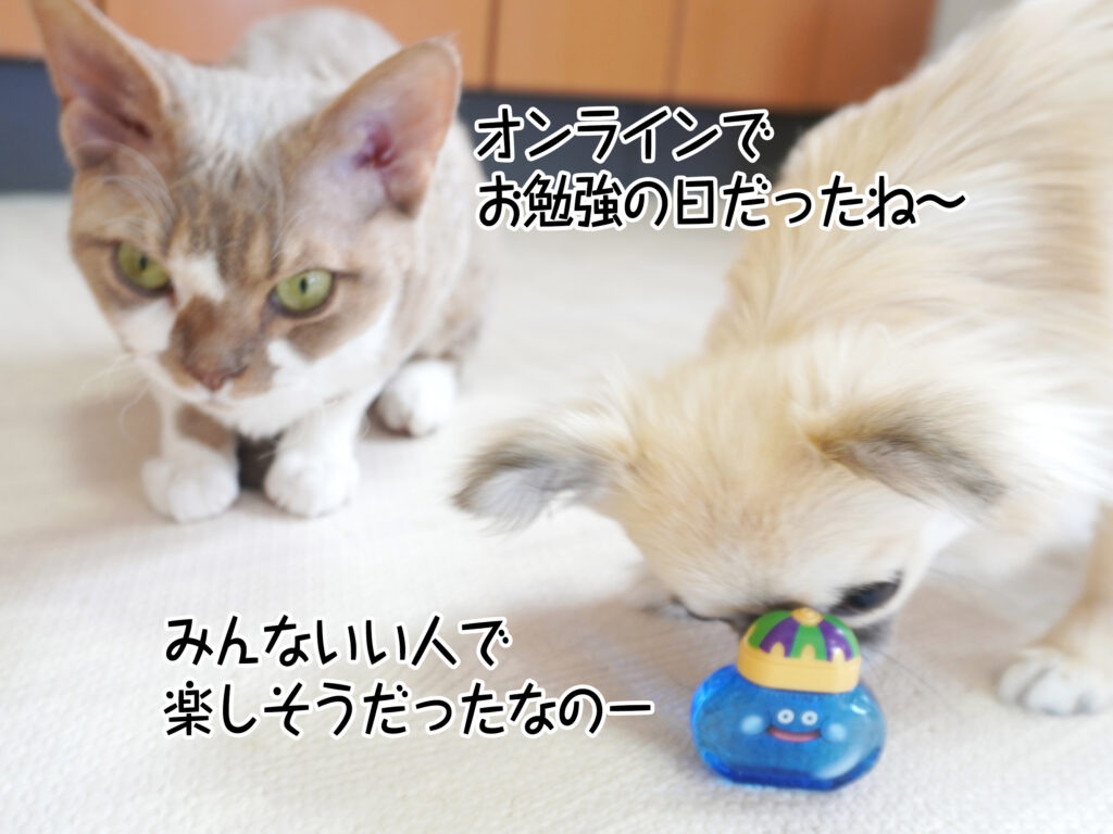 オンラインでお勉強の日だったね～