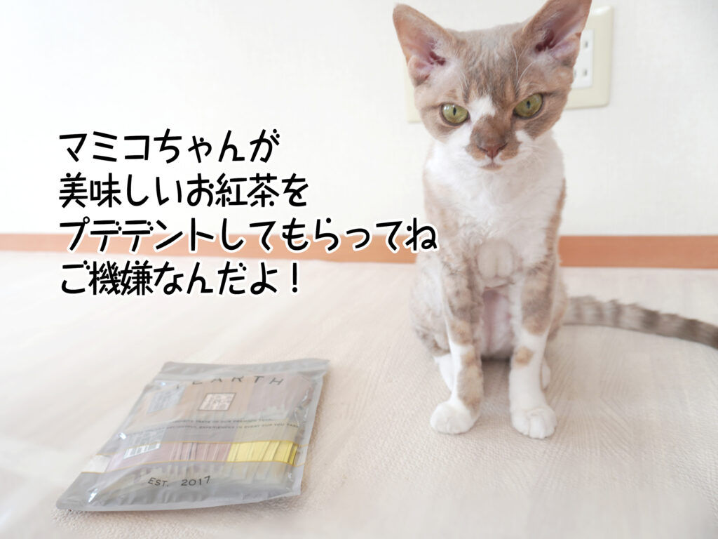 マミコちゃんが 美味しいお紅茶を プデデントしてもらってね ご機嫌なんだよ!