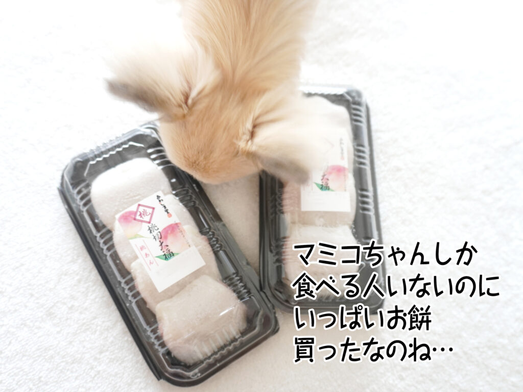 マミコちゃんしか 食べる人いないのに いっぱいお餅 買ったなのね…