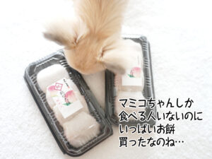 マミコちゃんしか 食べる人いないのに いっぱいお餅 買ったなのね…
