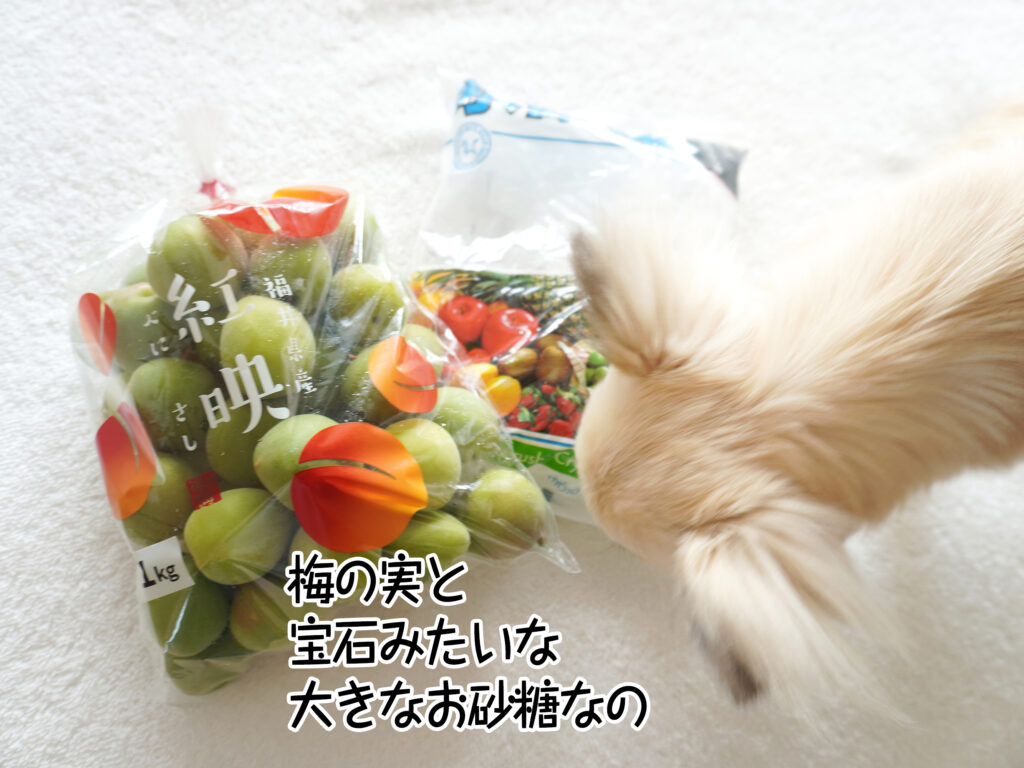 梅の実と宝石みたいな大きなお砂糖なの
