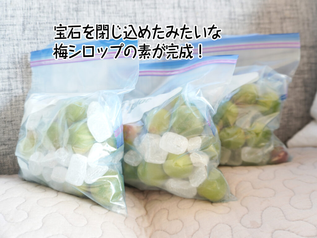 宝石を閉じ込めたみたいな梅シロップの素が完成！