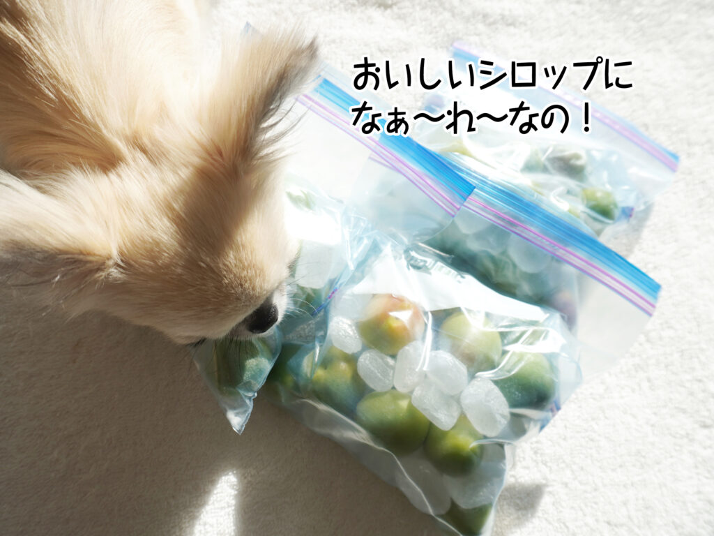 おいしいシロップになぁ～れ～なの！