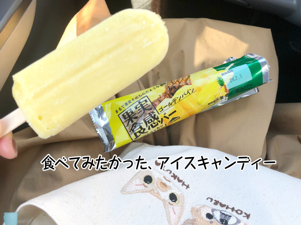食べてみたかった、アイスキャンディー