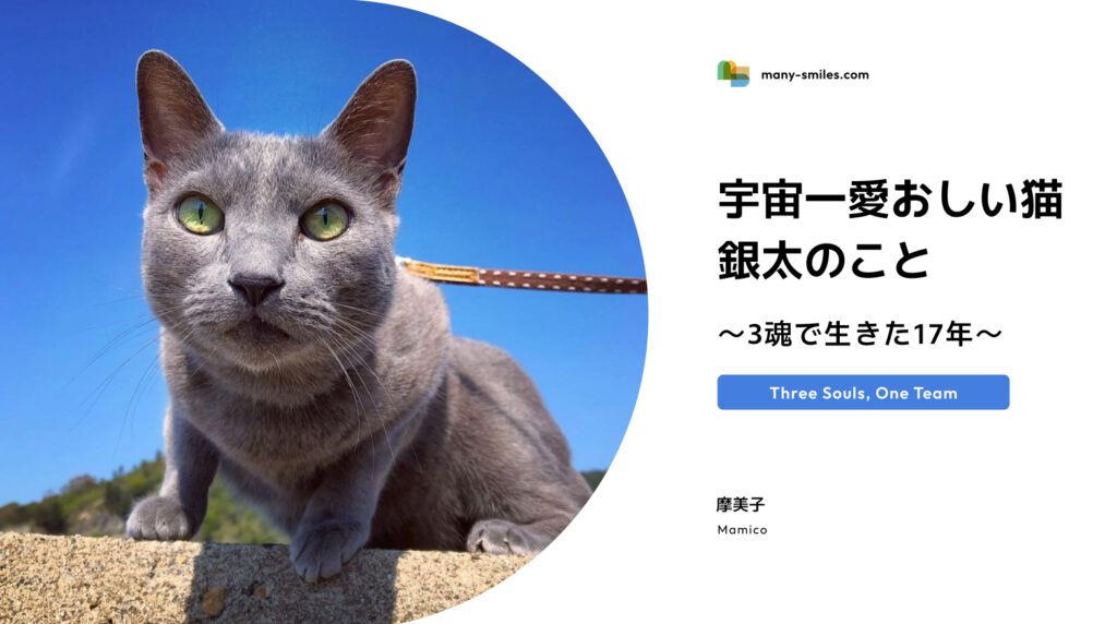 宇宙一愛おしい猫・銀太のこと