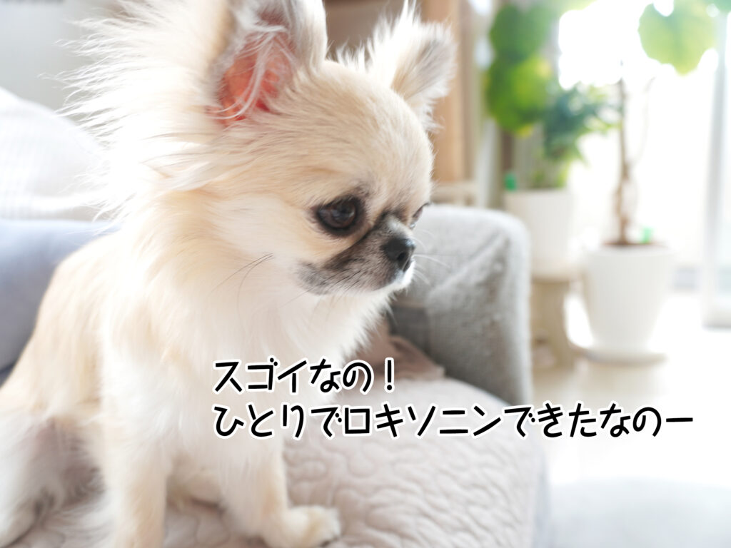 スゴイなの!ひとりでロキソニンできたなのー