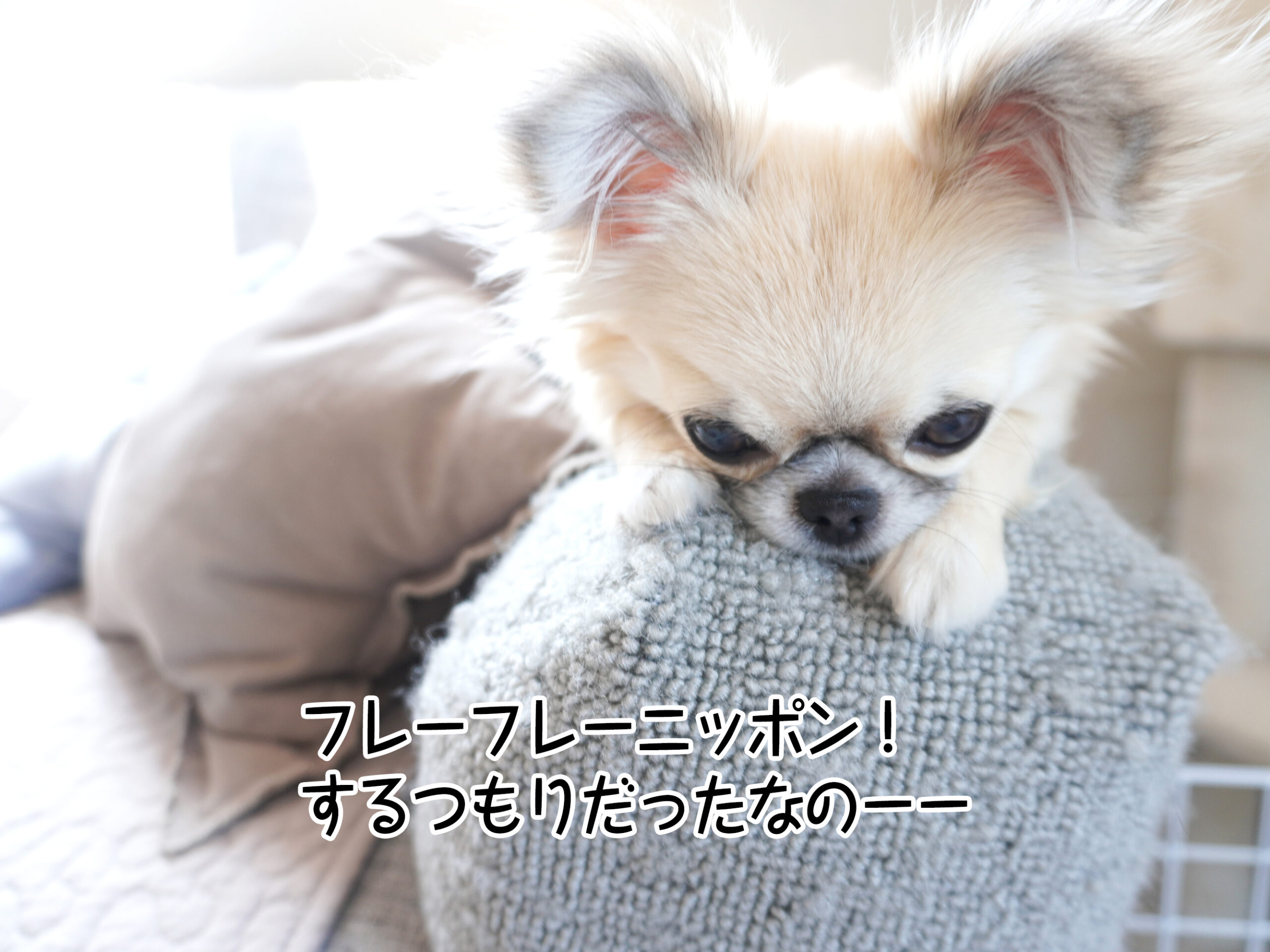 未来にならないと分からないこともいっぱいあるから、思い煩い過ぎない私になれたらいいな！でももがくのが、きっと私なんだよね。てへへ。