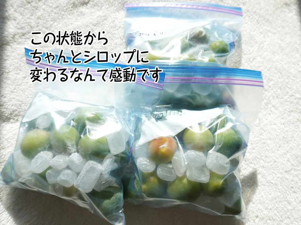この状態からちゃんとシロップに変わるなんて感動です