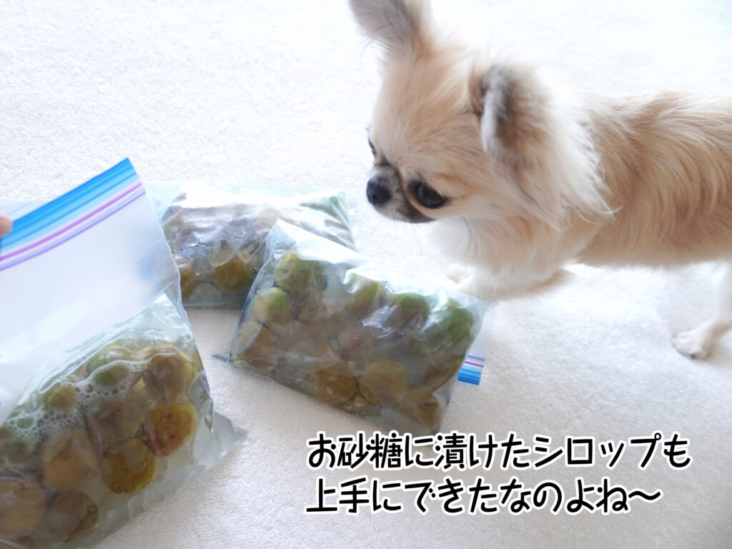 お砂糖に漬けたシロップも上手にできたなのよね～