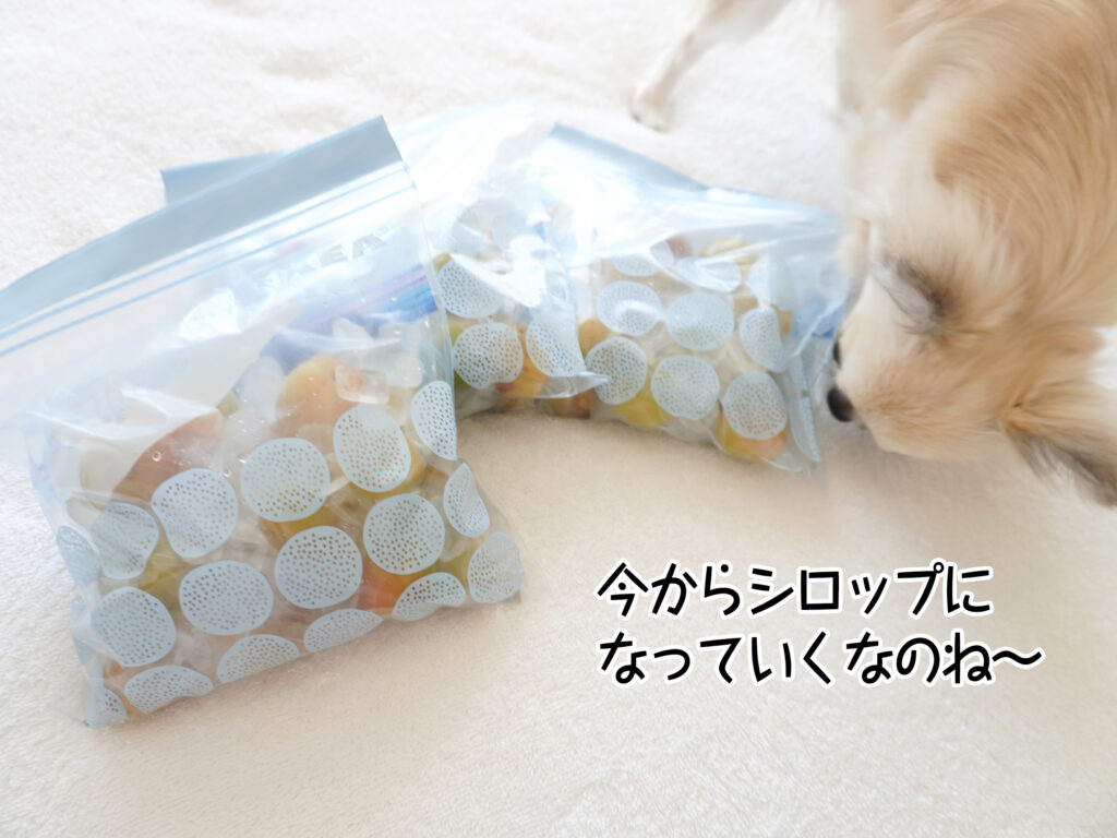 今からシロップになっていくなのね～