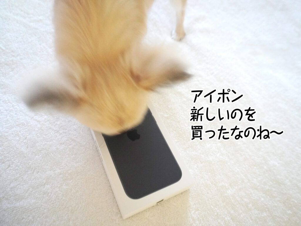 アイポン新しいのを買ったなのね~