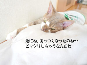急にね、あっつくなったのね～ ビックリしちゃうなんだね