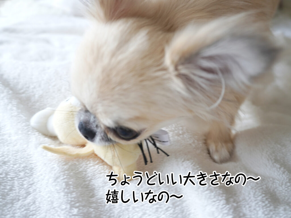 ちょうどいい大きさなの~嬉しいなの~