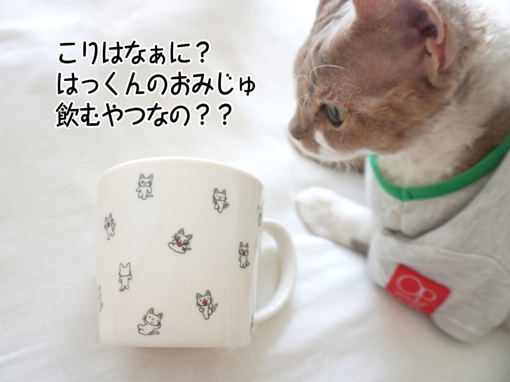 こりはなぁに?はっくんのおみじゅ飲むやつなの??