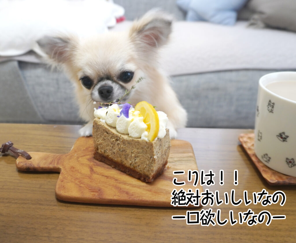 こりは!! 絶対おいしいなの 一口欲しいなのー